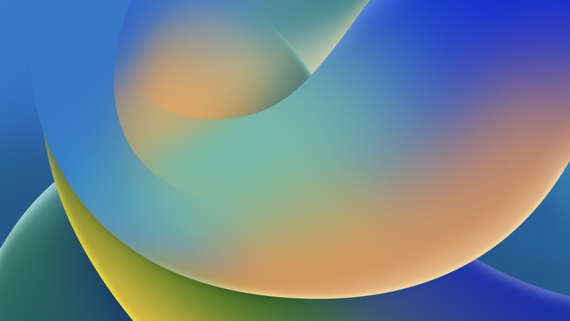 Anna Wiśniewska banner